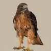 louis Jay - @louis.jay6 - TikTok