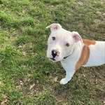 Louis_jay - @louis.jay.21 - Instagram