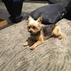 louisjohn1 - @louis_castaldo - TikTok