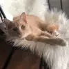 Louis Johns - @cutielouisandthemewss - TikTok