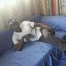 Louis Kayenda - Facebook
