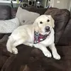 Keith Louis - @keith.louis5 - TikTok