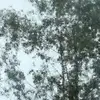 L - @louiskeith1 - TikTok