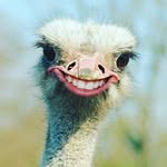 Louis  Kott - @louis.kott - Instagram