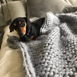 Louis Kramer - @louisboykramer - Instagram