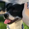 Louisvalentino - @louis_krieg - TikTok