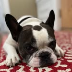 Louis & Lacey - @louisandlacey - Instagram