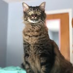 Louis Lamar - @_louis_lamar_ - Instagram