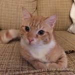 Louis Lamar Catson - @louislamarcatson - Instagram
