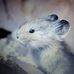 Lois Landers - Facebook