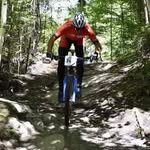Louis Lapierre - @lewislapierre - Instagram