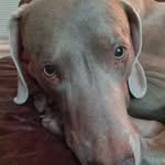 Louis Leo Holtz Leach - @ladieslovesweetlou - Instagram