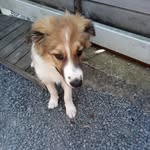 Louis Lemayeur - @louislemayeur - Instagram