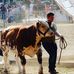 Louis Levasseur - Facebook
