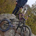 Louis-philippe Levesque - @white.berreta - Instagram