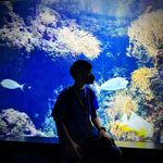 Louis Ling - @louuis_0715 - Instagram
