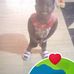 Louis Y. Dzogbefor - Facebook