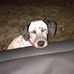 Louis Maas - Facebook