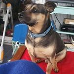 Louis Mader - @louismader - Instagram
