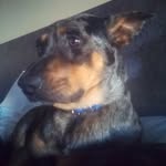 @loui.smagee - Instagram