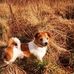 Louise Magee - Facebook