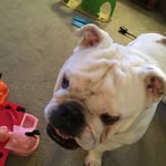 Louis Manning Dalbec - @louis_manning_dalbec - Instagram