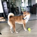Louis Erard Martinez - @louis_marcello_martinez - Instagram