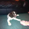 Louis McGregor - @user126650490 - TikTok
