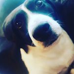Louis_Monk12 - @louis_monk12 - Instagram