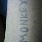 monkey - @louismonkey52 - Instagram