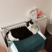 Sarah Louise Murdock - Facebook