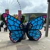 louisemurray__ - @louisemurray__ - TikTok