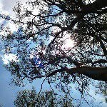 @_louis_nel_ - Instagram