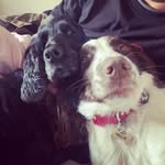 Louis & Nellie 🐾🌿 - @louisandnellie - Instagram