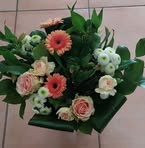 Louise Nihoul - Facebook