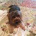 Louis Oneil - Facebook