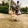 Louis Pakang - @louispakang - TikTok