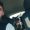 louispellerin2 - @louispellerin2 - TikTok