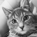 louis - @louis.petit.con - Instagram