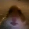 Louis Petit - @louispetit12 - TikTok