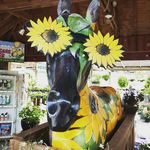 Louis Flower Power - @louisflowerpower - Instagram