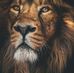 Louis Quinn - Facebook