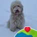 Louis Rivard - Facebook
