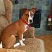 Louis Robert - Facebook