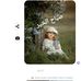 Louis Romie - Facebook