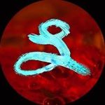 Louis Rouse • Commerce+Art - @louierouse - Instagram