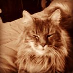 louis roussel - @louisroussel555 - Instagram