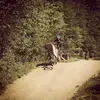 Louis sauer  - @louissauer - TikTok