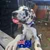 Louise Shorter - @louise.shorter - TikTok