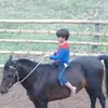 Louis Silvers - @louis.silvers - TikTok